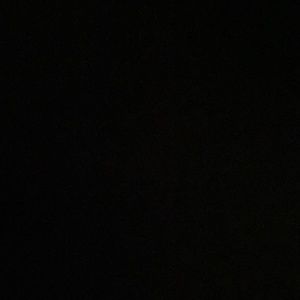 Meet your Posher, Trixie